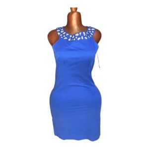Robe bleu (Friperie Premier Choix)