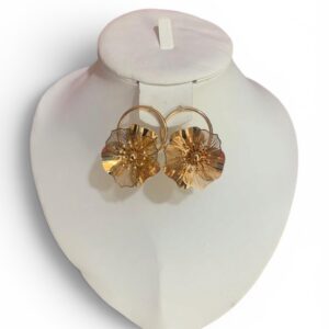 Une paire de boucles d'oreilles