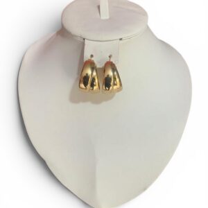 Une paire de boucles d'oreille