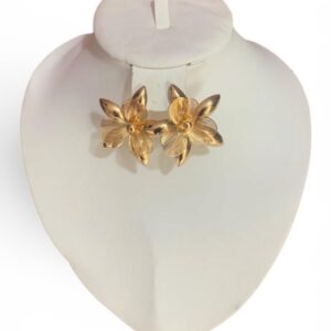 Une paire de boucles d'oreilles
