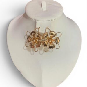 Une paire de boucles d'oreilles